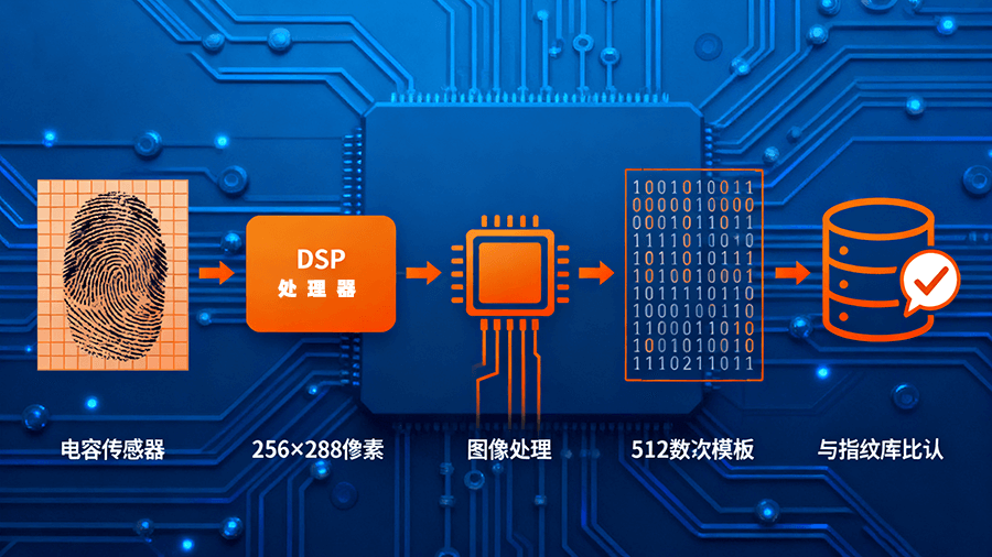 BA-ZW0C指紋識別模塊功能參數示意圖